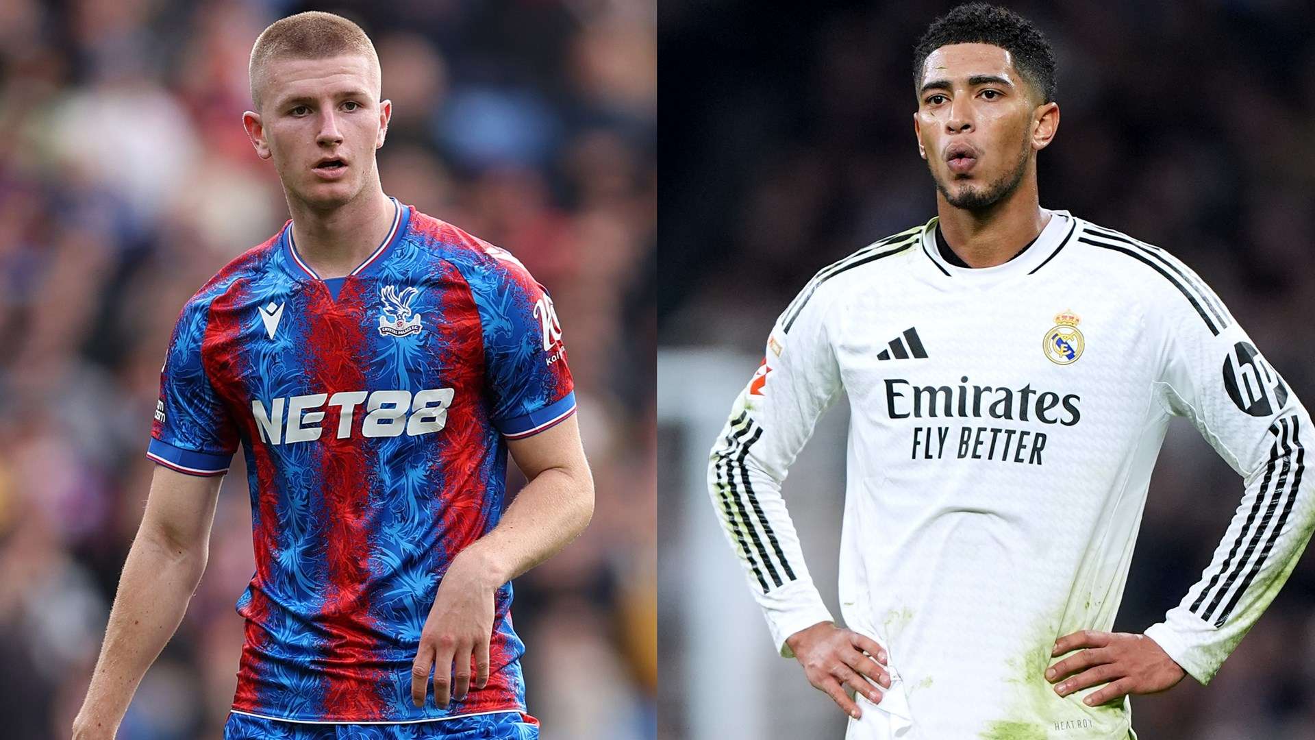 望和回憶 望和回憶